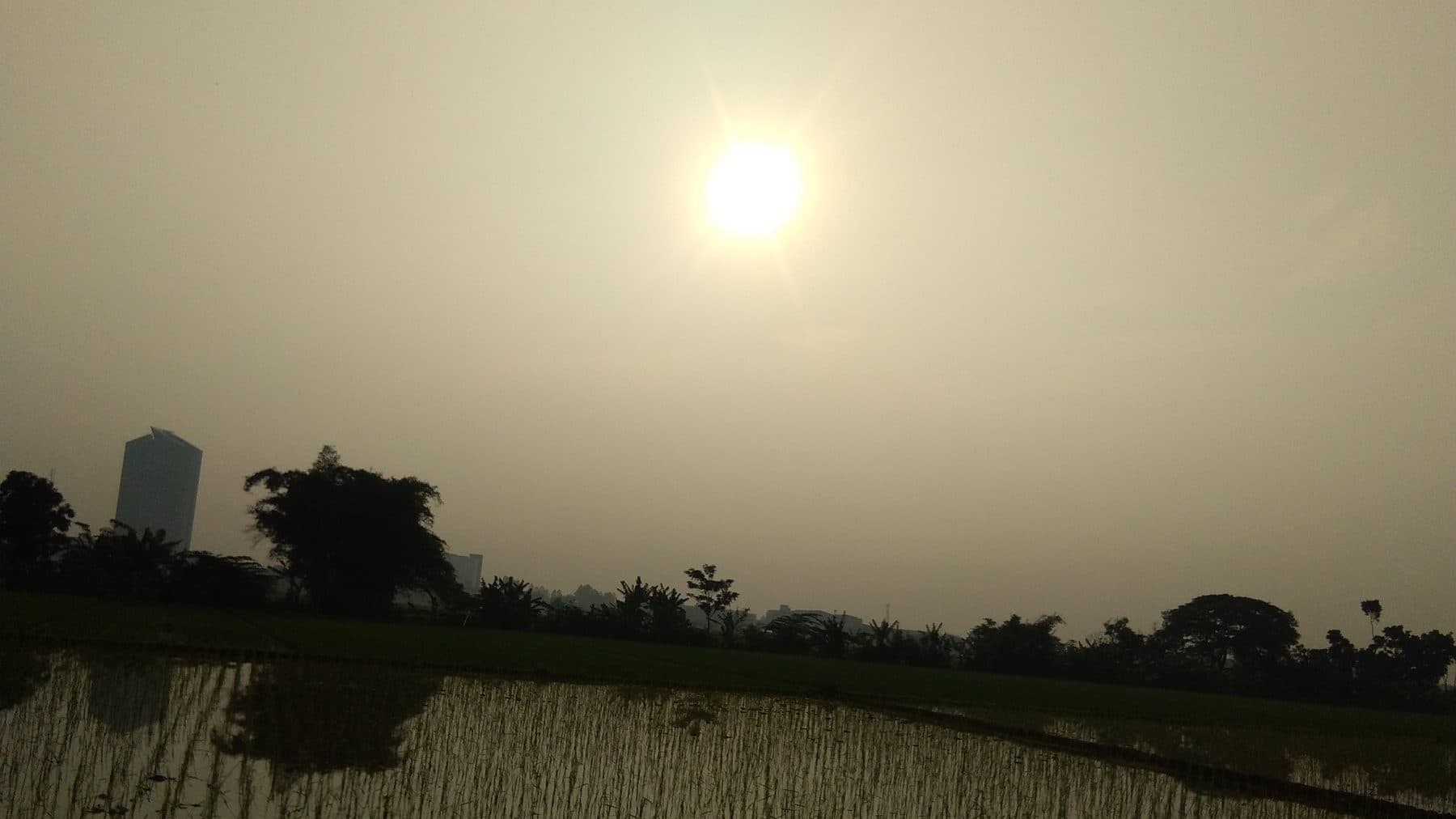 Petak sawah tergenang air memantulkan langit senja, dengan deretan pohon dan sebuah menara bertingkat tinggi di kaki langit.